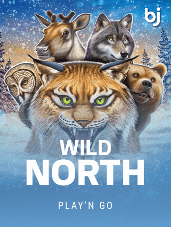 ওয়াইল্ড নর্থ